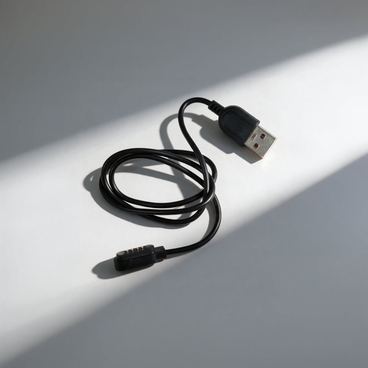 Earquis Pulse Magnetic Charging Cable (Black)